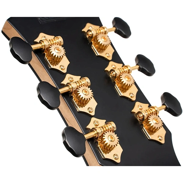 Электроакустическая гитара Cort Gold-Passion WCASE NAT