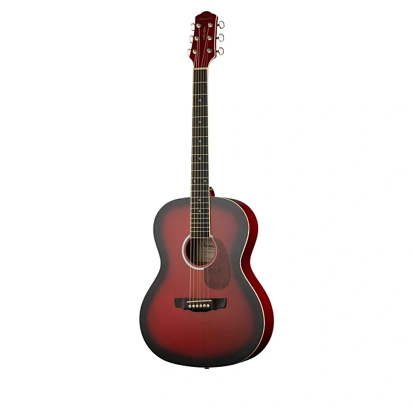 Акустическая гитара Naranda CAG280RDS