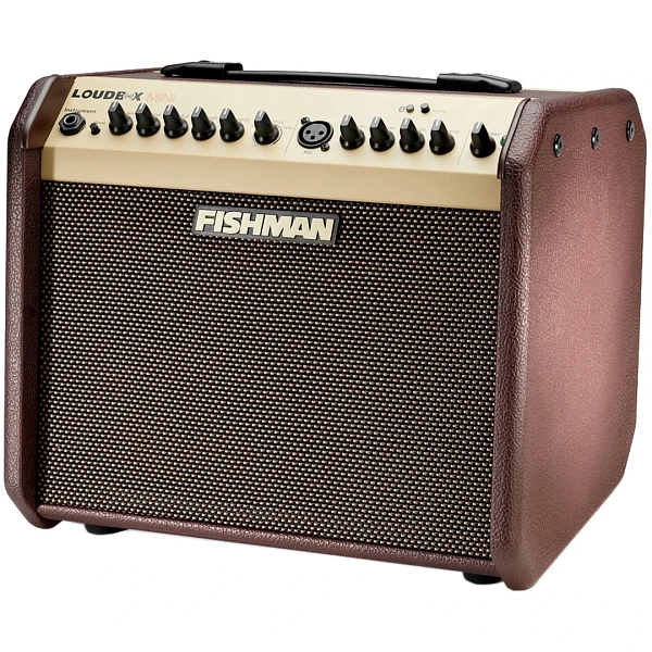 Комбоусилитель Fishman PRO-LBT-EU5 Loudbox Mini