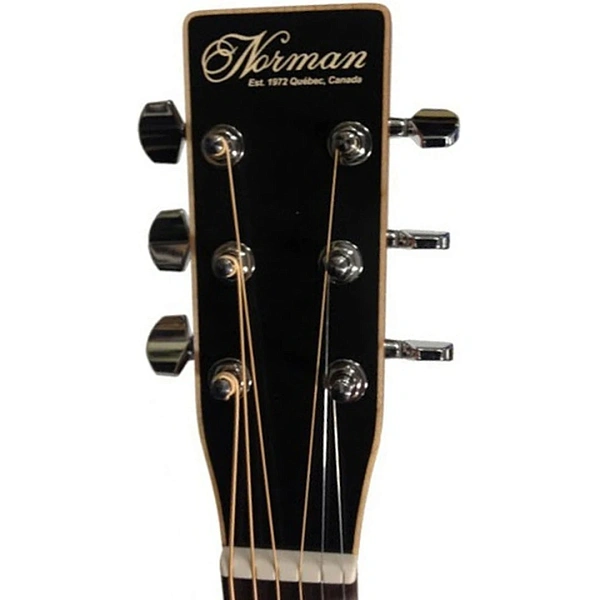 Акустическая гитара Norman Encore B20 HG Black