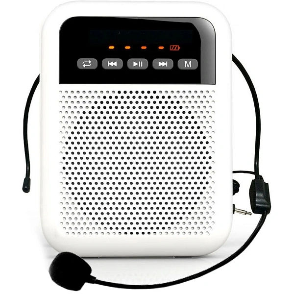Портативная акустическая система Laudio WS-VA030-Pro