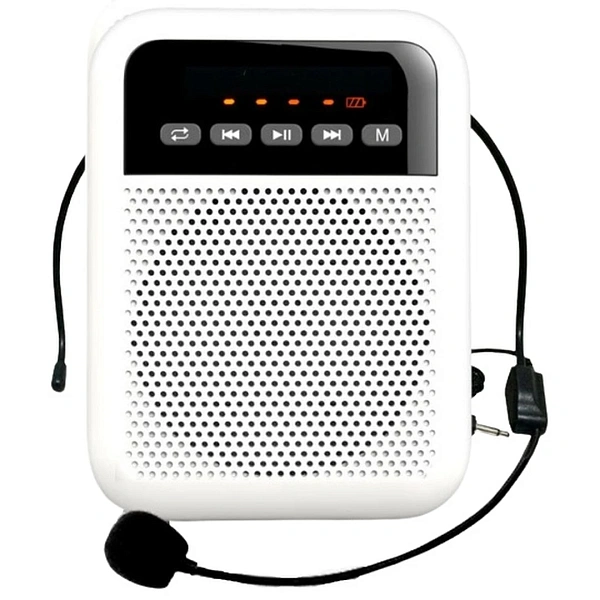 Портативная акустическая система LAudio WS-VA030