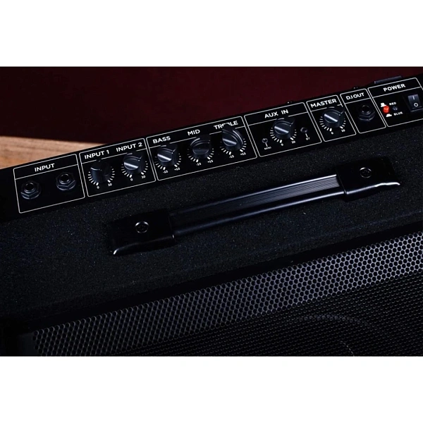 Комбоусилитель Avatar DM60