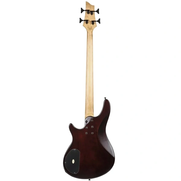 Бас-гитара Schecter SGR C-4 Bass WSN