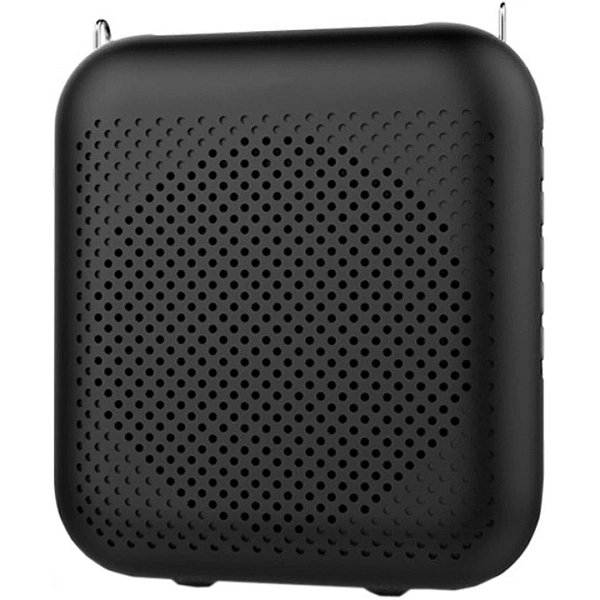 Портативная акустическая система Laudio WS-VA058-Pro