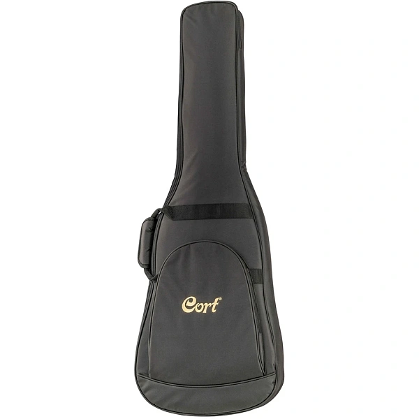 Электрогитара Cort G200 SKB WBAG