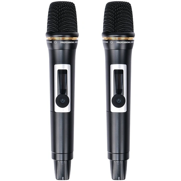Радиосистема LAudio LS-602