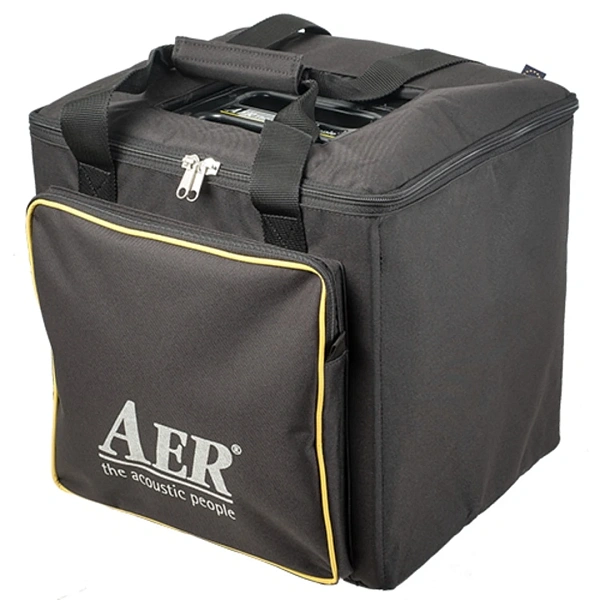Комбоусилитель AER Compact XL