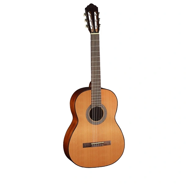 Классическая гитара Cort AC100 SG