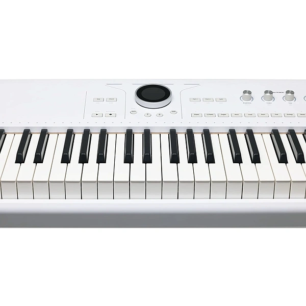 Синтезатор Arturia Astrolab 88