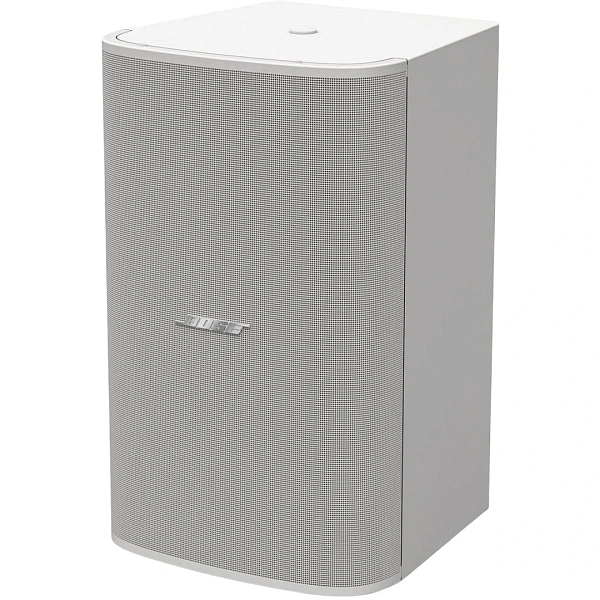 Сабвуфер Bose DesignMax DM10S-Sub (White)
