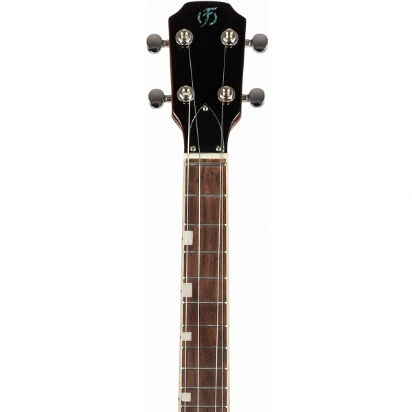 Укулеле Flight Vanguard Tenor TBK