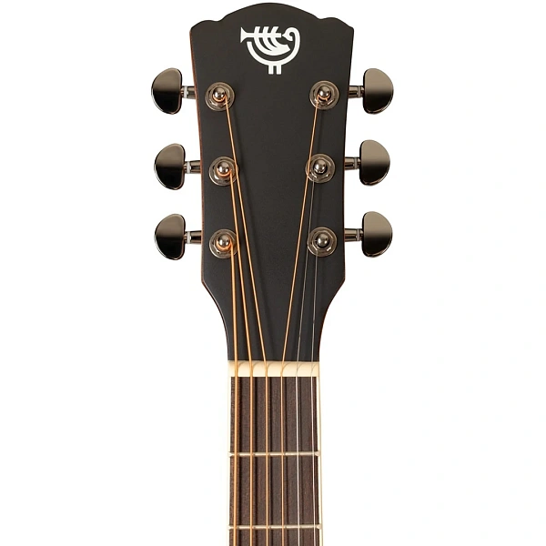 Акустическая гитара Rockdale Aurora D6 C BK Satin