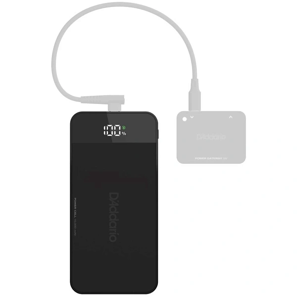 Аккумулятор Planet Waves PW-XPNDPPC-01