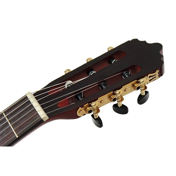 Классическая гитара Dowina CL555