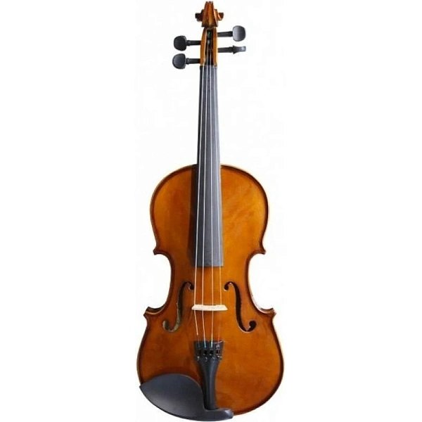 Скрипка Terris VIO-44 4/4