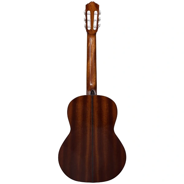 Классическая гитара Rockdale Classic C7