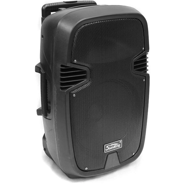 Портативная акустическая система Soundking SKA-12T