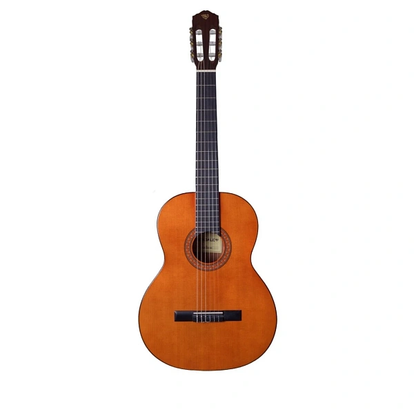 Классическая гитара Rockdale Classic C4