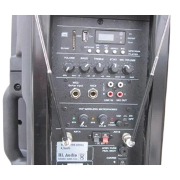 Портативная акустическая система HL Audio SK-15A-USB