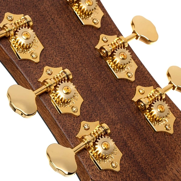 Электроакустическая гитара Cort Gold-DC6 WCASE NAT