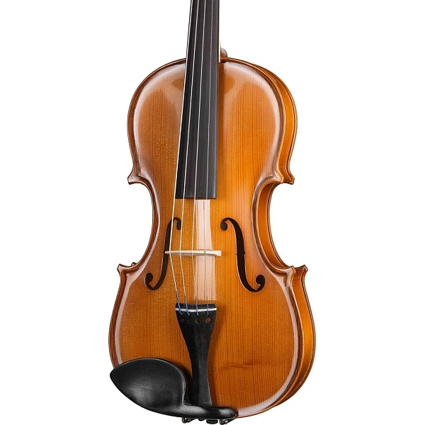 Скрипка Gliga B-V044 Beginer Genial 2 Nitro