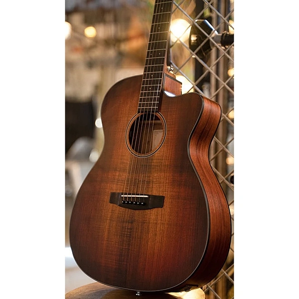 Электроакустическая гитара Cort Core-OC Blackwood OPLB