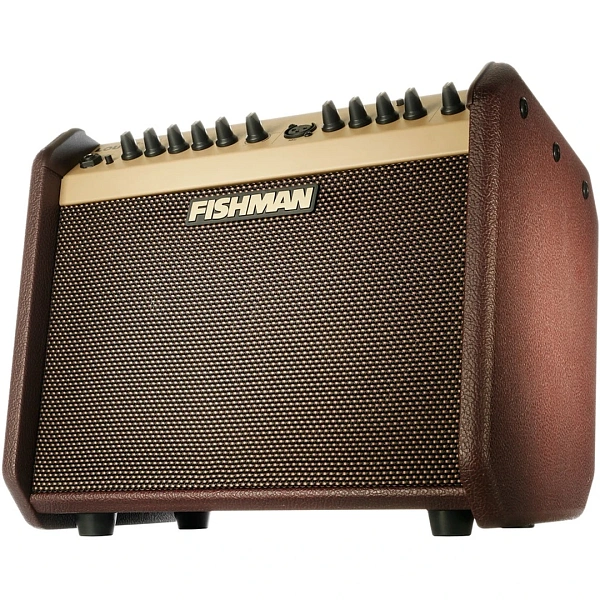 Комбоусилитель Fishman PRO-LBT-EU5 Loudbox Mini