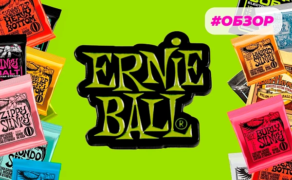 struny-ernie-ball-osnovnye-serii.webp