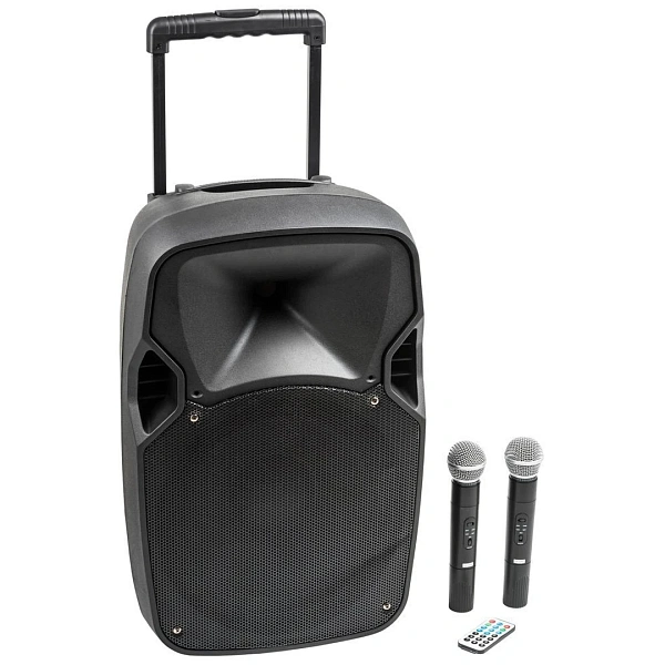Портативная акустическая система Soundking SKA-12T