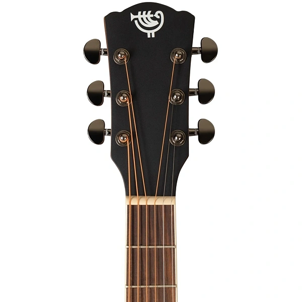 Акустическая гитара Rockdale Aurora D6 BK Satin