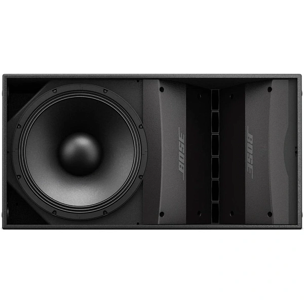 Пассивная акустическая система Bose ArenaMatch AM10/60
