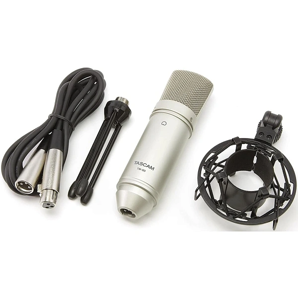 Микрофон Tascam TM-80