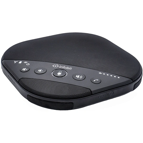 Радиосистема Infobit iSpeaker M600