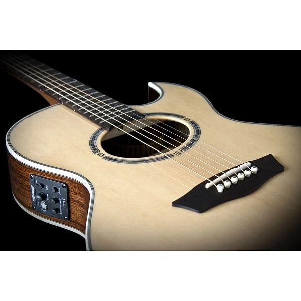 Электроакустическая гитара Washburn EA20SNB
