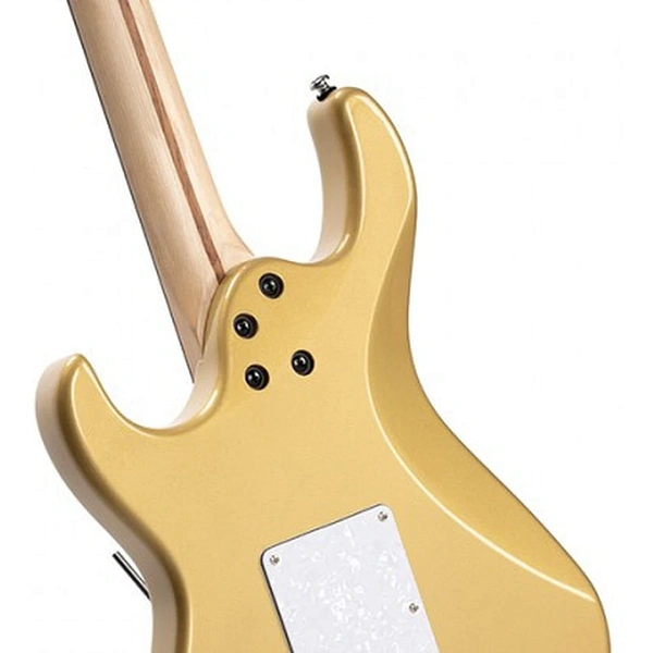 Электрогитара Cort G250 CGM