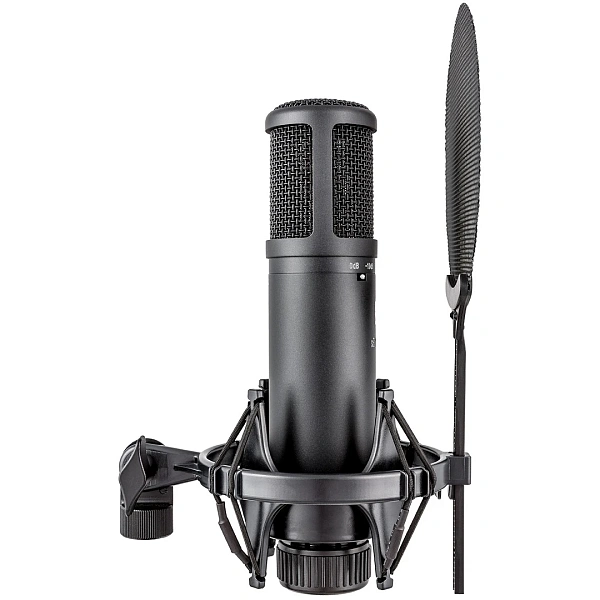 Микрофон sE Electronics sE2200