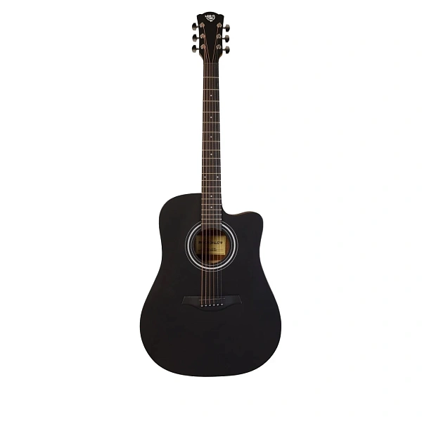 Акустическая гитара Rockdale Aurora D5 Gloss C BK