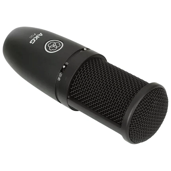 Микрофон AKG P120