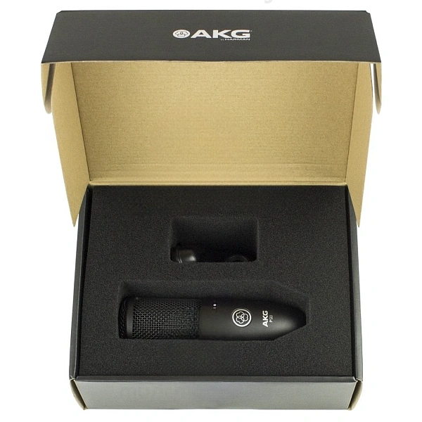 Микрофон AKG P120