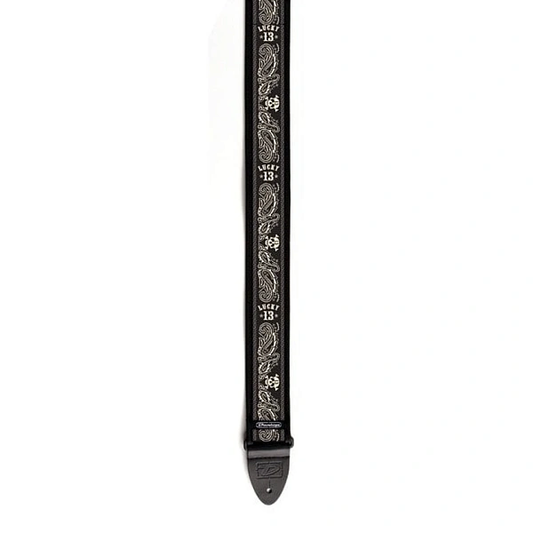 Ремень для гитары Dunlop D38-45SP STRAP L13 PAISLEY