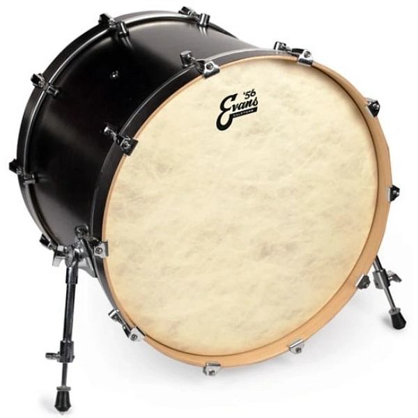 Пластик Evans BD26CT