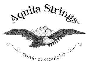 Aquila brand logo